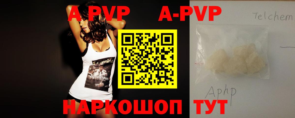 A PVP СК Зеленогорск