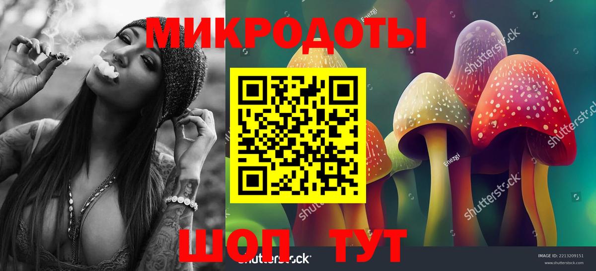 Зеленогорск  Псилоцибиновые грибы GOLDEN TEACHER  Вход с VPN 